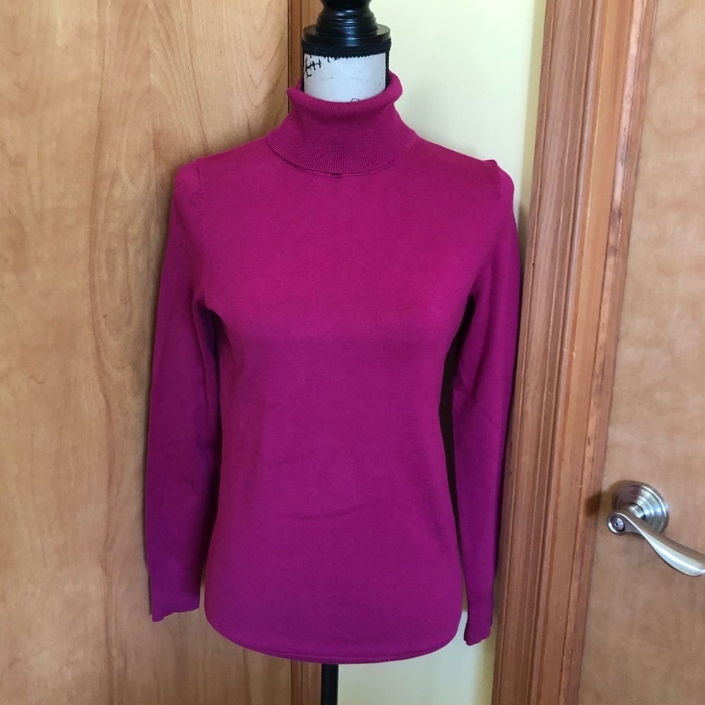 NWT Talbots Petites Turtleneck
